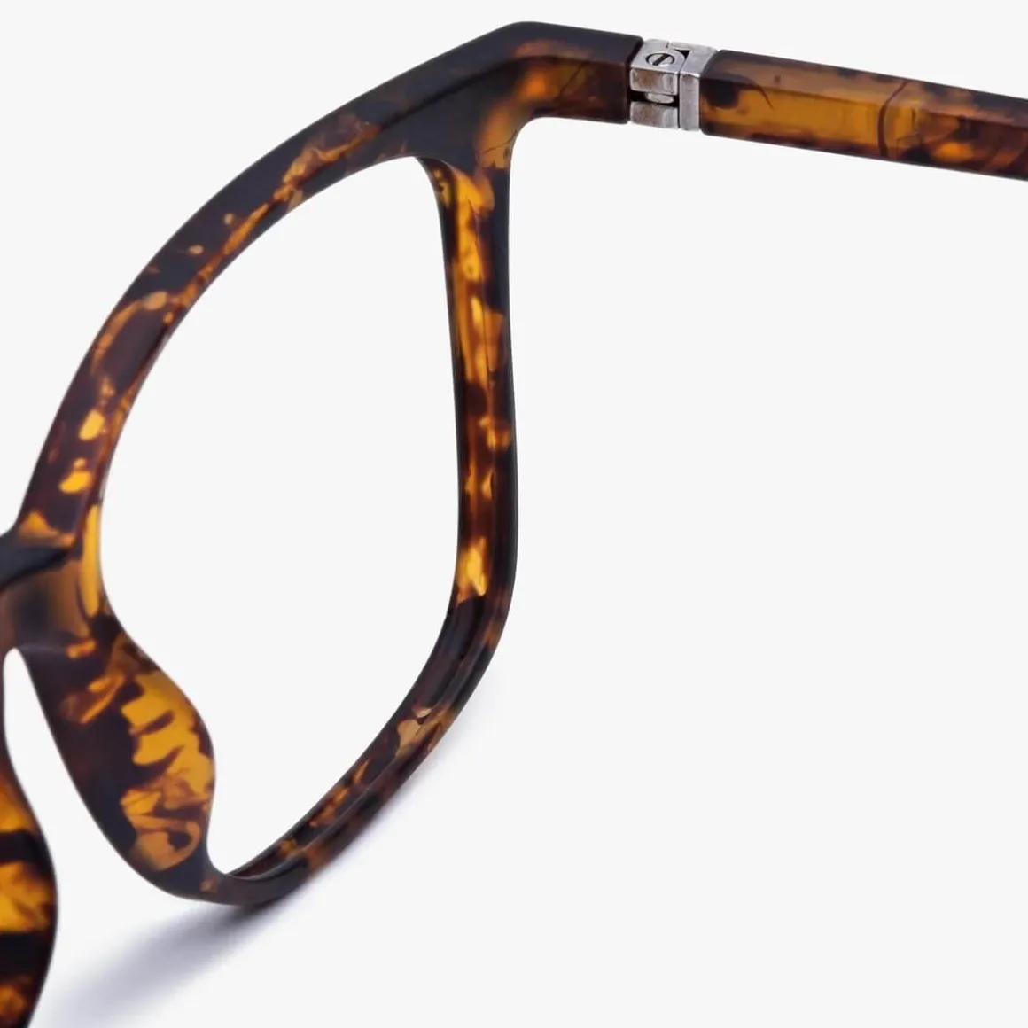 Men's Fyn Turtle